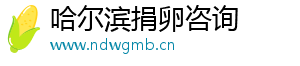 哈尔滨捐卵咨询	